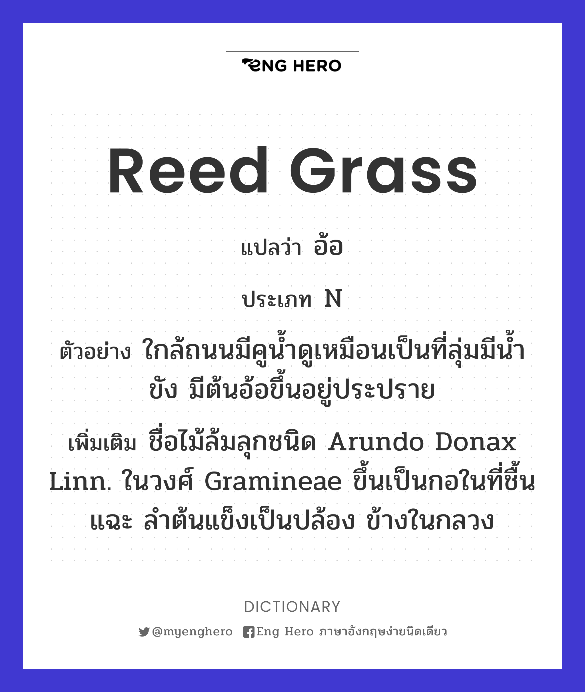 reed grass