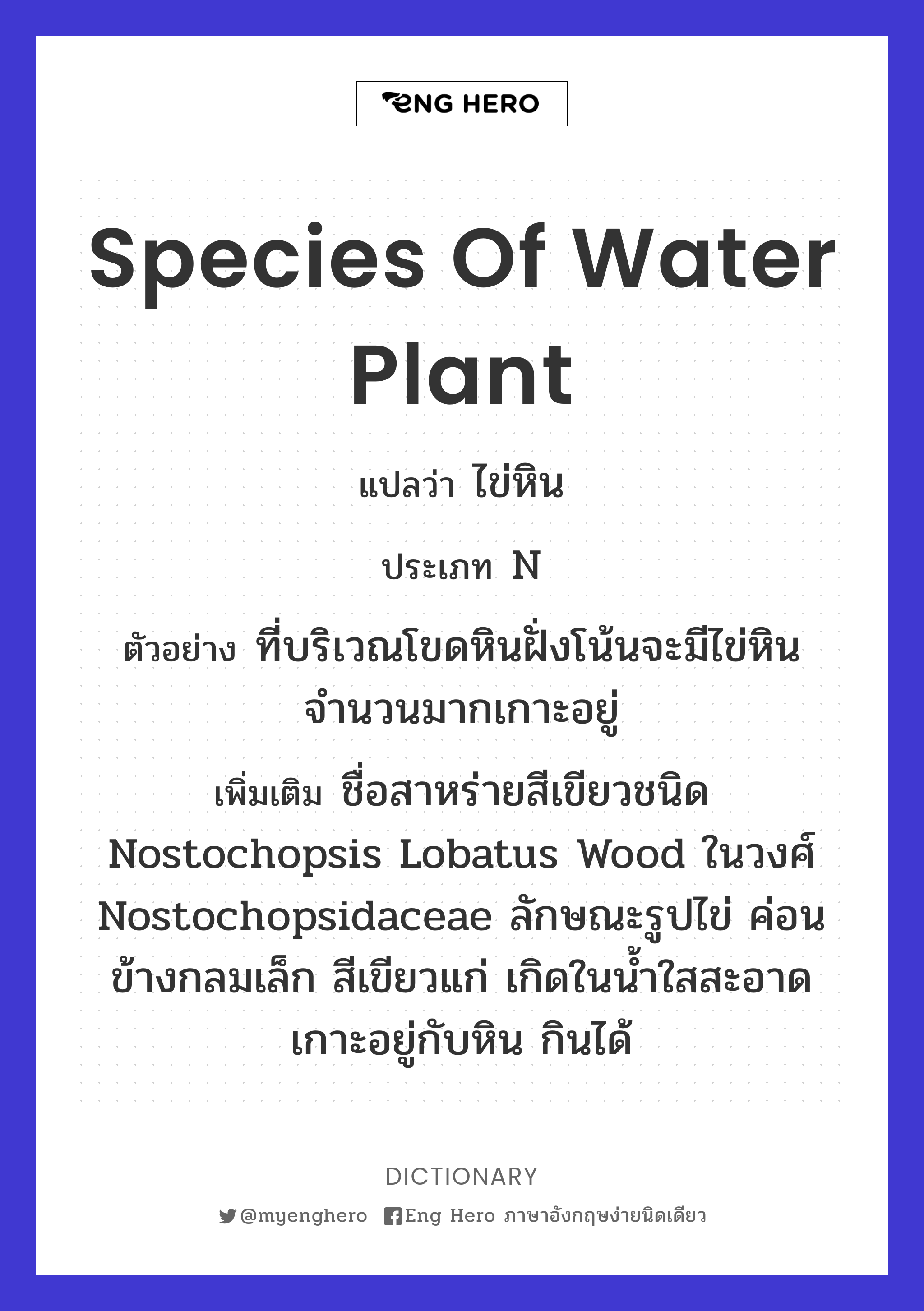 species of water plant