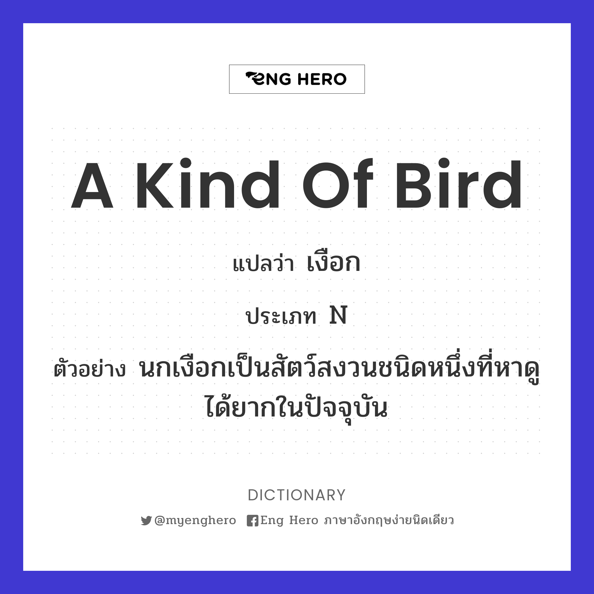 a kind of bird