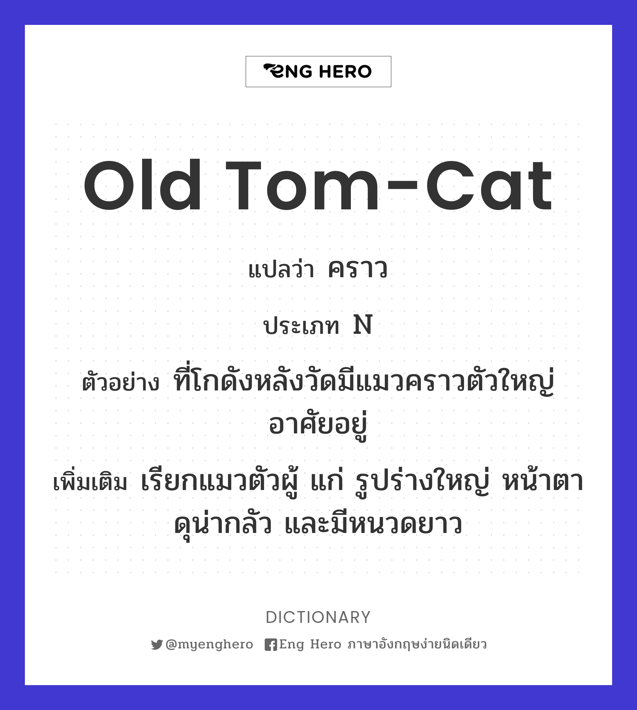 old tom-cat