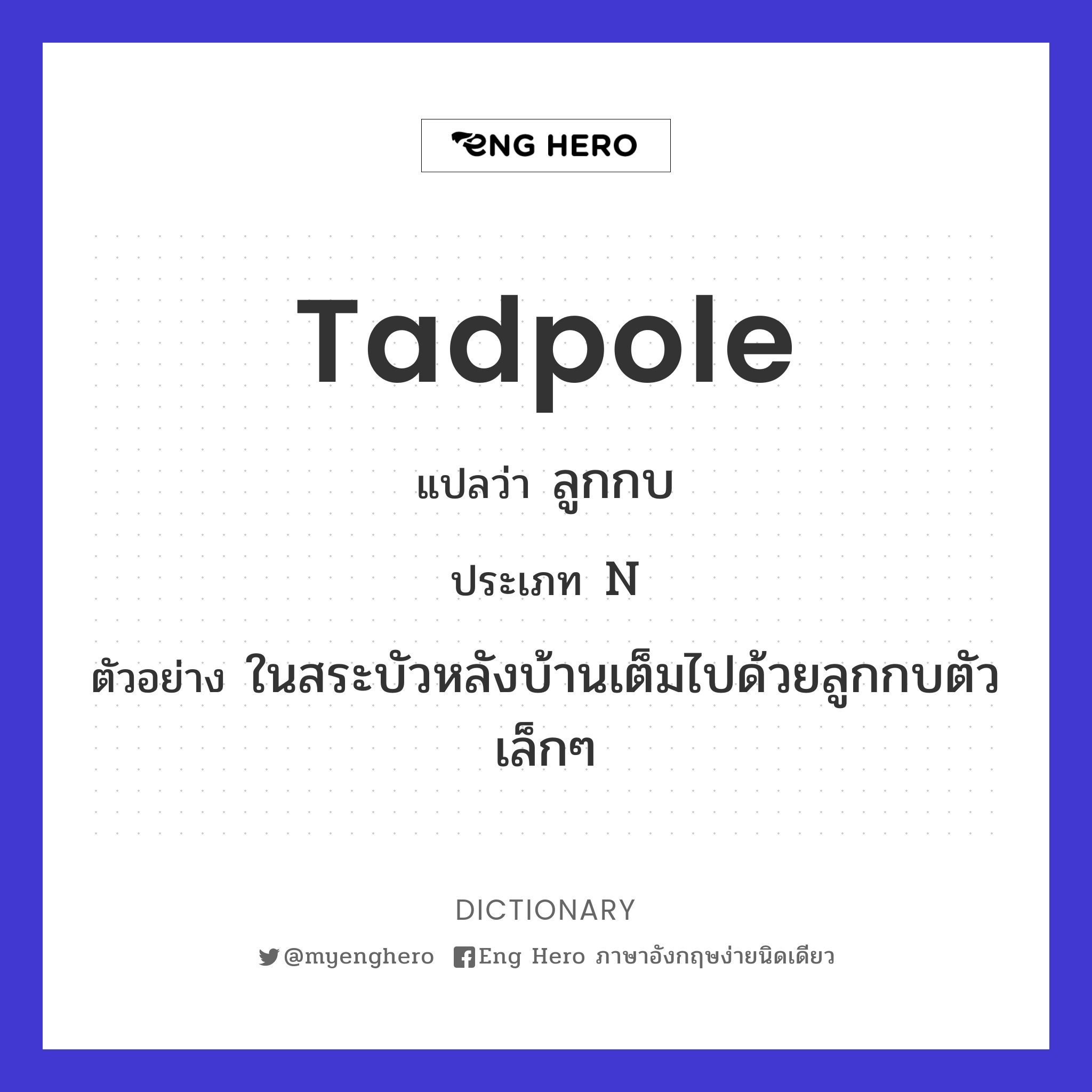 Tadpole แปลว่า ลูกอ๊อด, ลูกกบ | Eng Hero เรียนภาษาอังกฤษ ออนไลน์ ฟรี