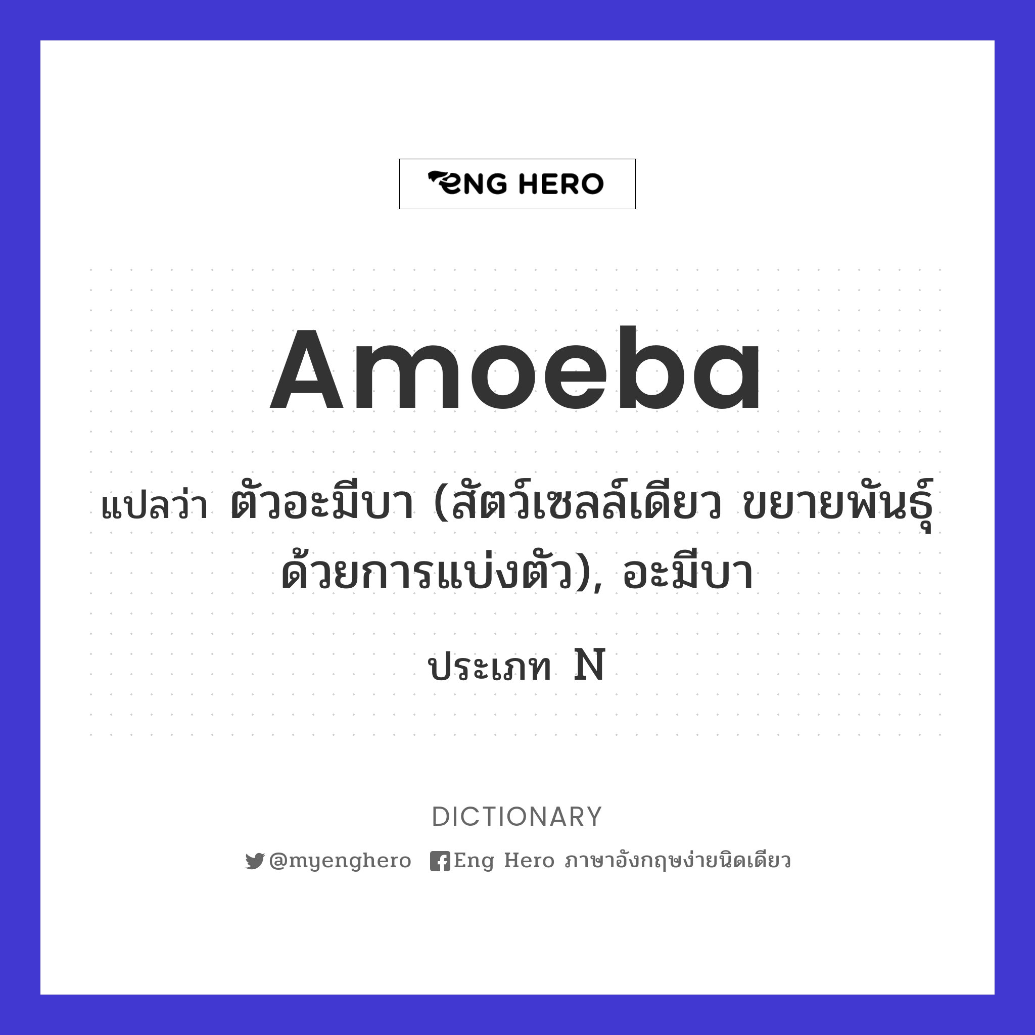 amoeba