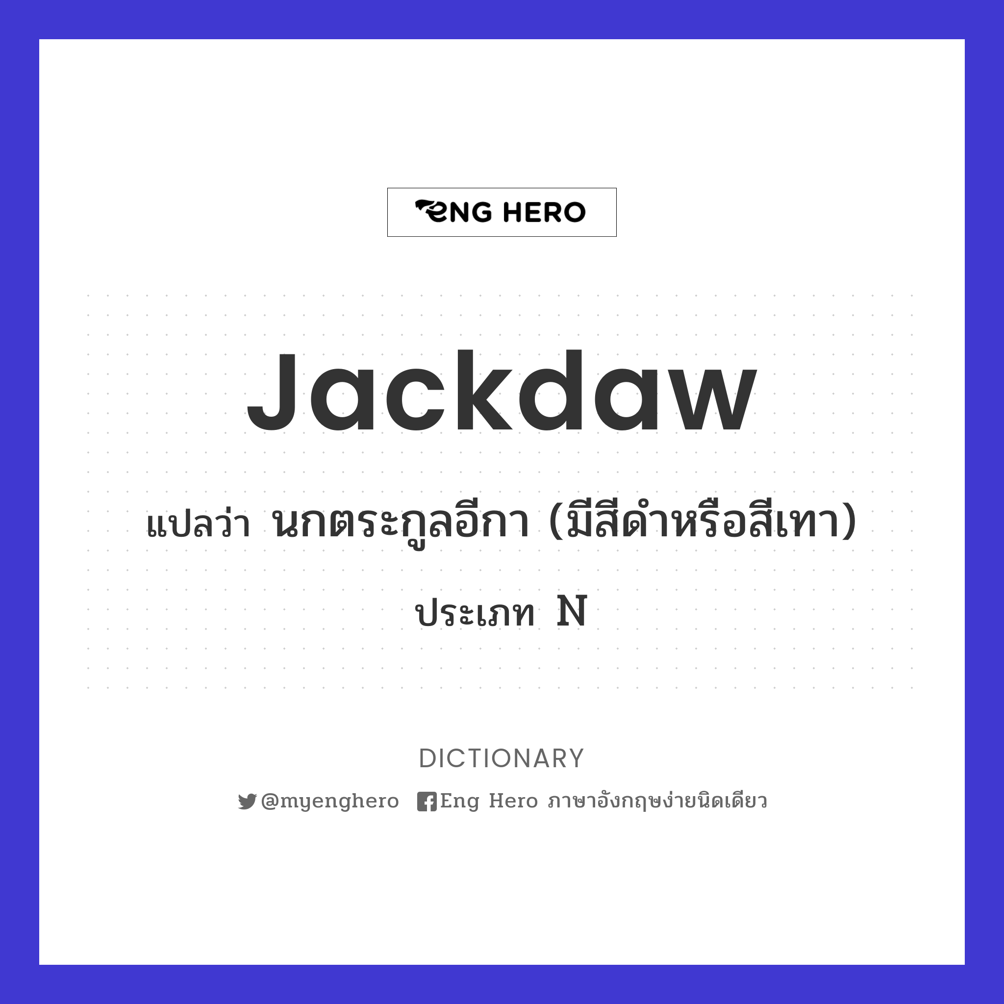 jackdaw