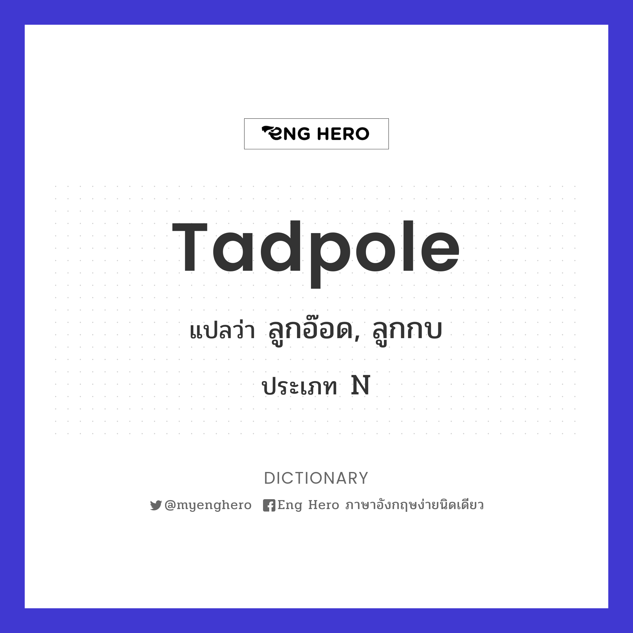 Tadpole แปลว่า ลูกอ๊อด, ลูกกบ | Eng Hero เรียนภาษาอังกฤษ ออนไลน์ ฟรี