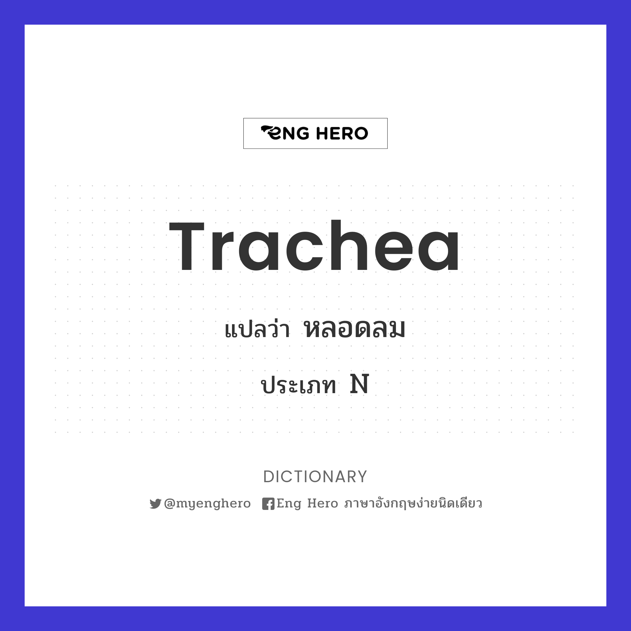 trachea