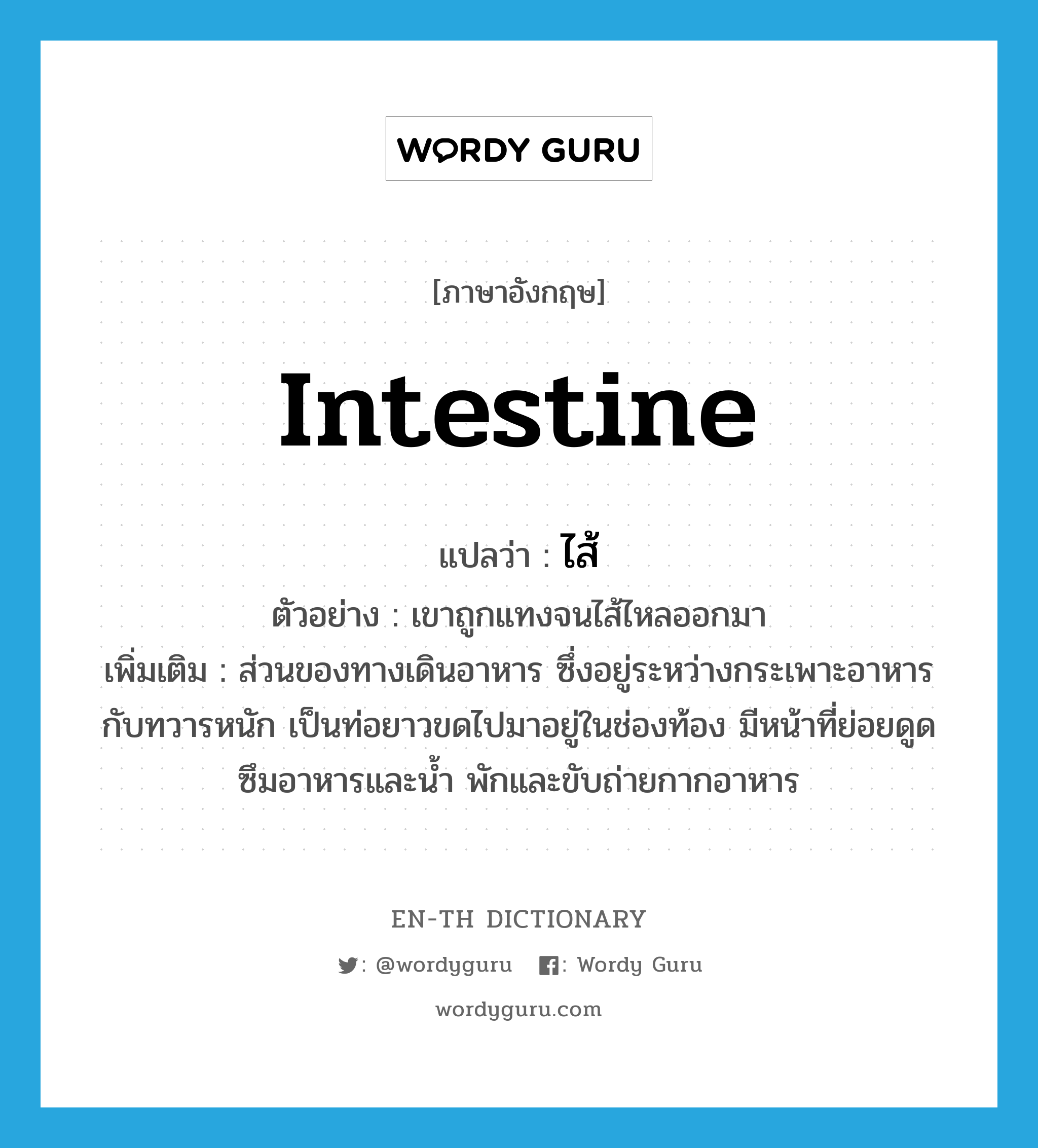 Intestine แปลว่า? | Wordy Guru