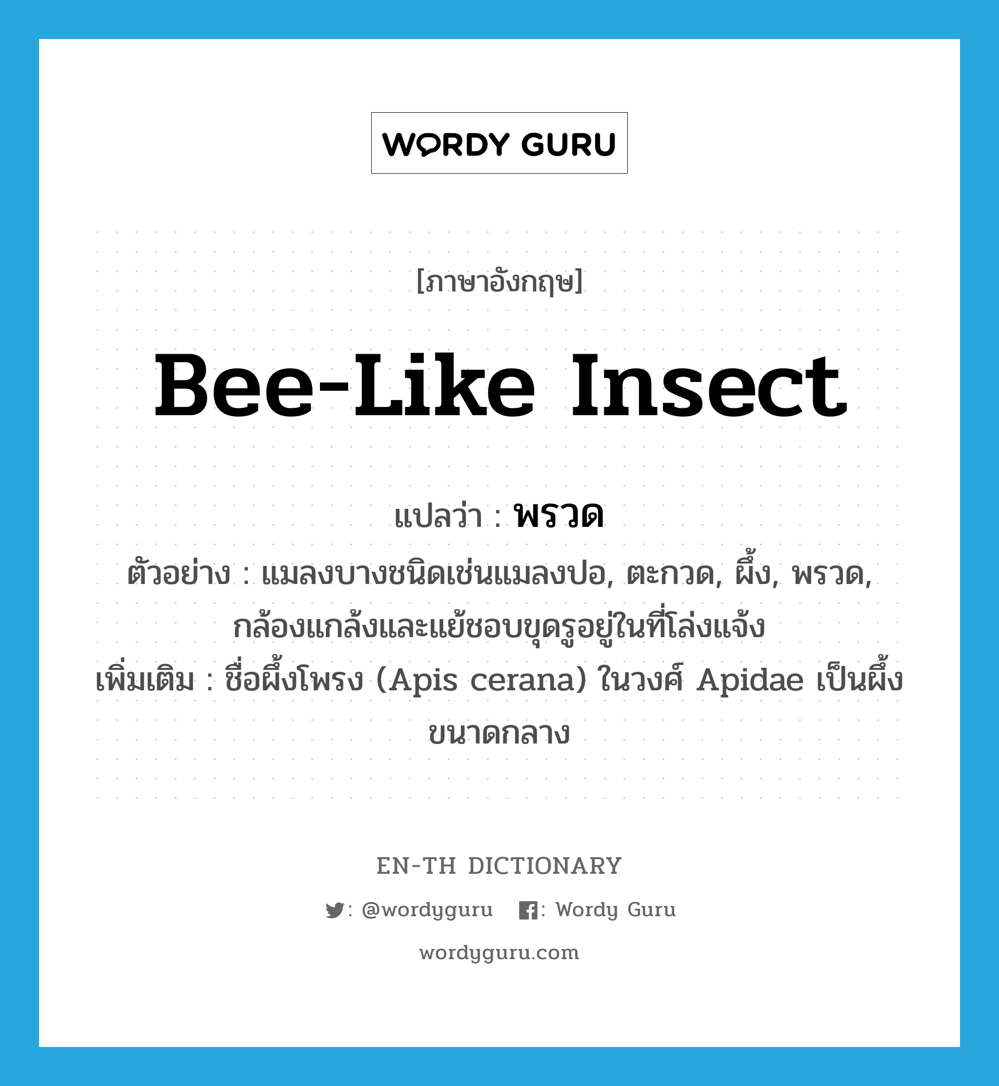 bee-like insect แปลว่า?, คำศัพท์ภาษาอังกฤษ bee-like insect แปลว่า พรวด ประเภท N ตัวอย่าง แมลงบางชนิดเช่นแมลงปอ, ตะกวด, ผึ้ง, พรวด, กล้องแกล้งและแย้ชอบขุดรูอยู่ในที่โล่งแจ้ง เพิ่มเติม ชื่อผึ้งโพรง (Apis cerana) ในวงศ์ Apidae เป็นผึ้งขนาดกลาง หมวด N