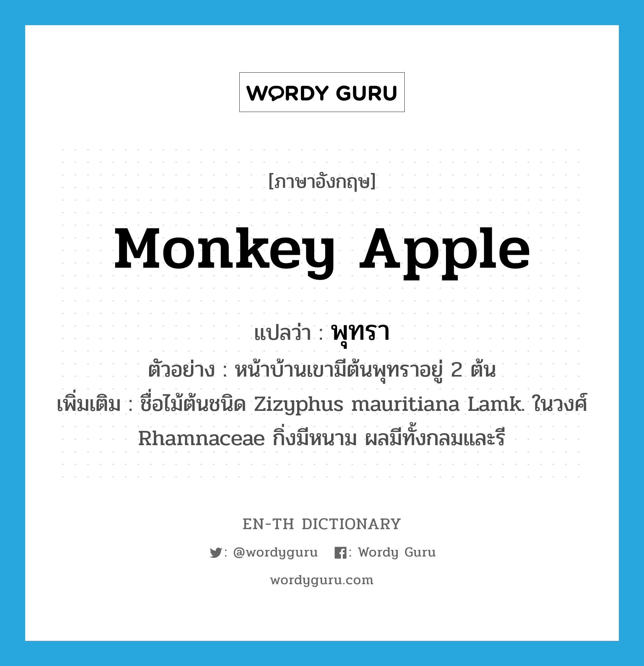 monkey apple แปลว่า?, คำศัพท์ภาษาอังกฤษ monkey apple แปลว่า พุทรา ประเภท N ตัวอย่าง หน้าบ้านเขามีต้นพุทราอยู่ 2 ต้น เพิ่มเติม ชื่อไม้ต้นชนิด Zizyphus mauritiana Lamk. ในวงศ์ Rhamnaceae กิ่งมีหนาม ผลมีทั้งกลมและรี หมวด N