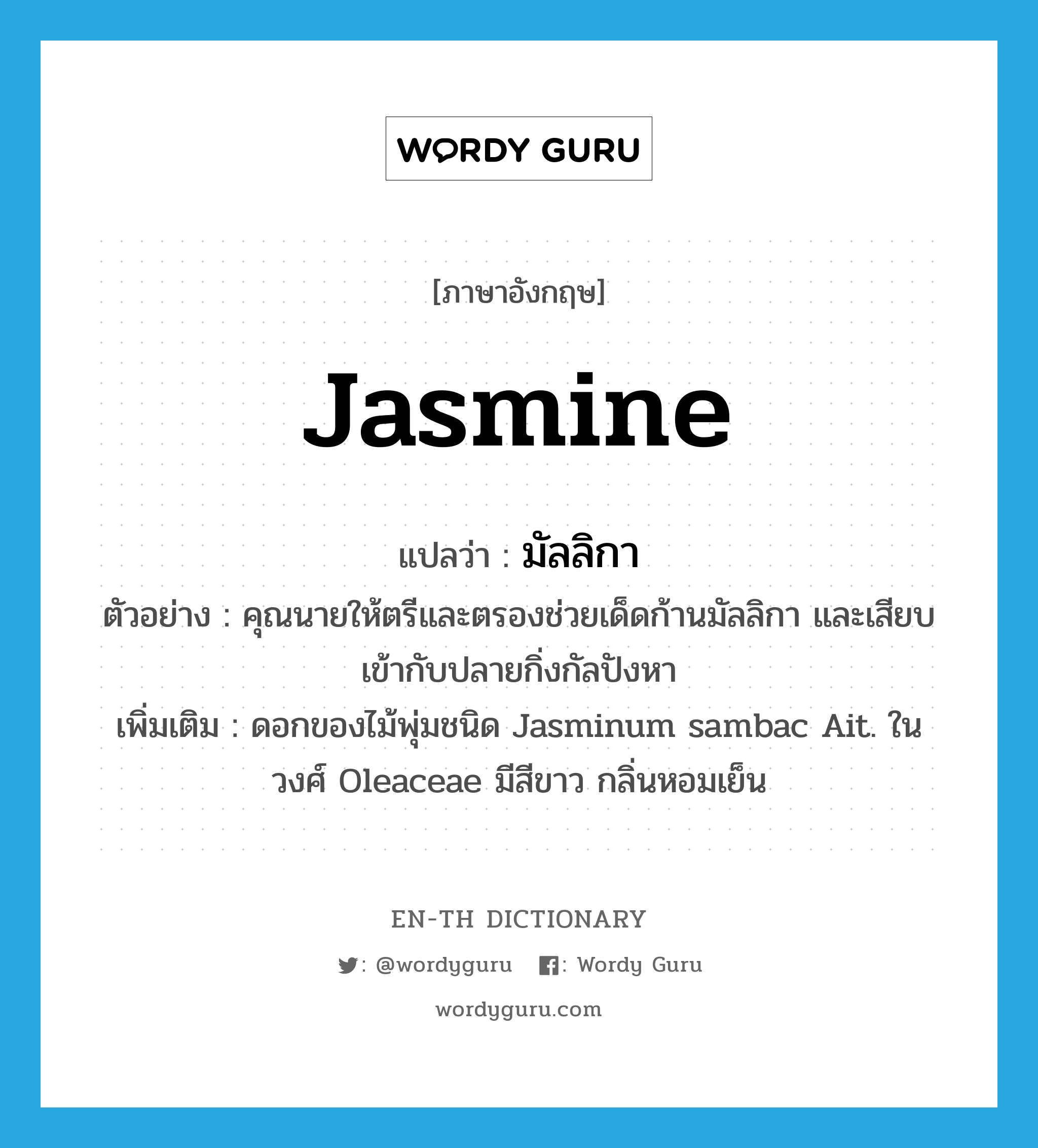 ดอก Winter Jasmine