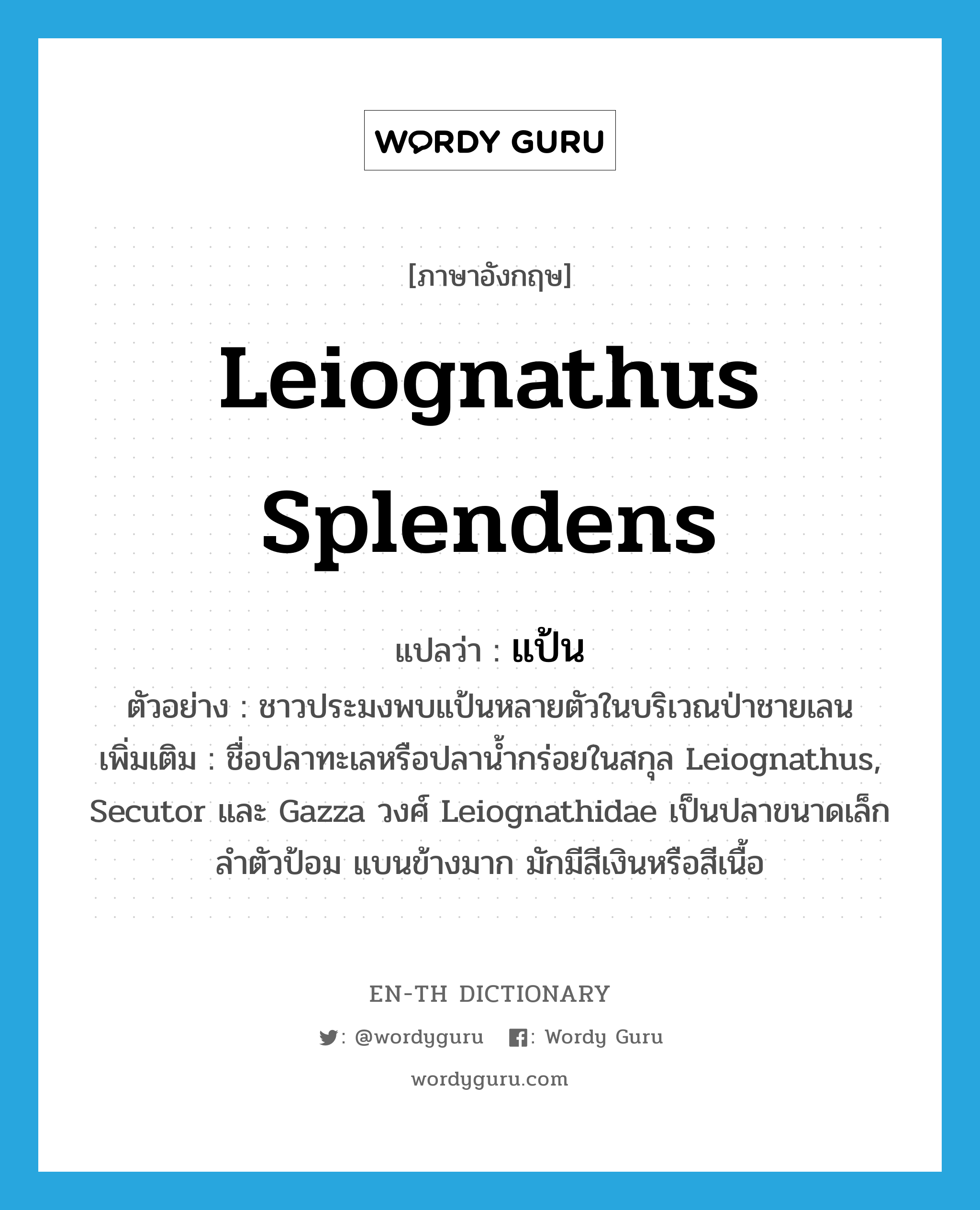 Leiognathus Splendens แปลว่า? | Wordy Guru