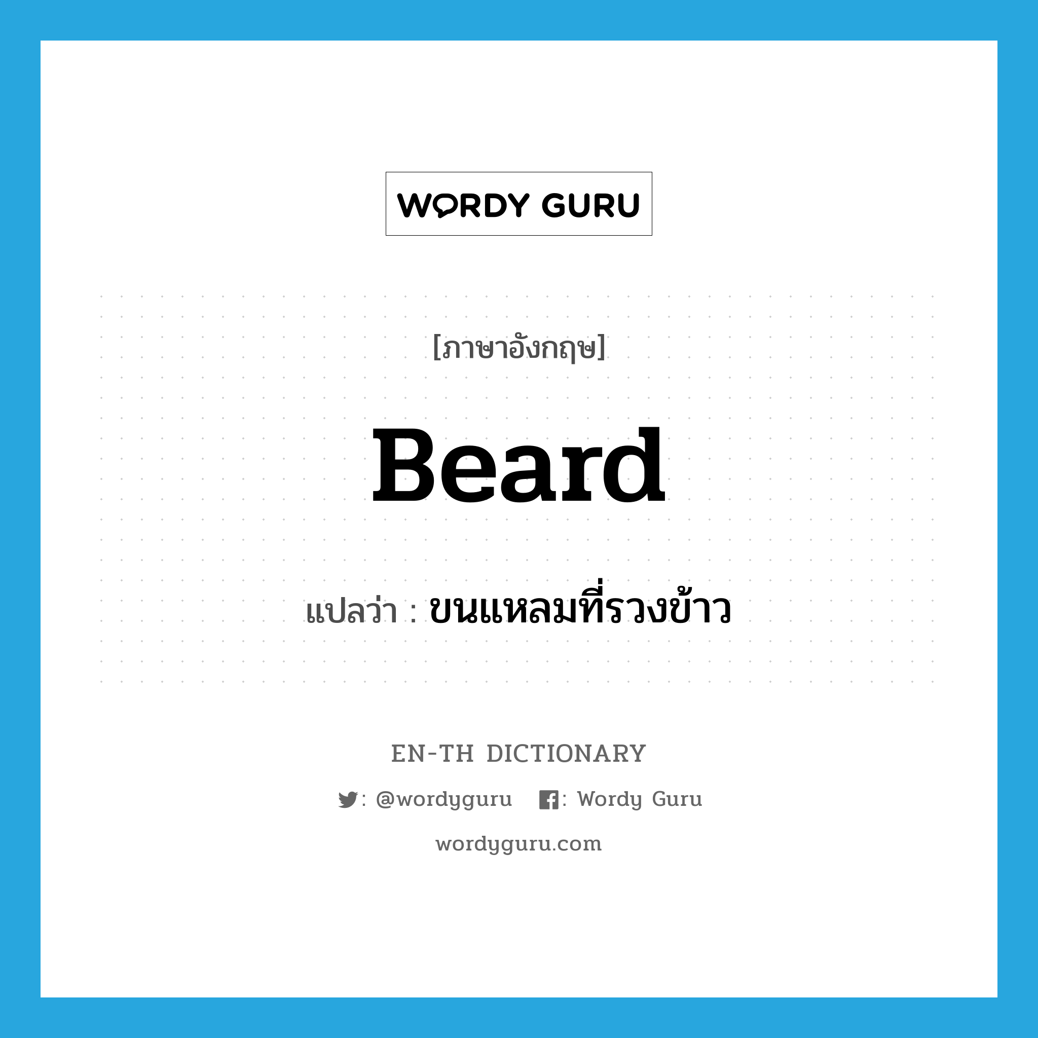 beard แปลว่า?, คำศัพท์ภาษาอังกฤษ beard แปลว่า ขนแหลมที่รวงข้าว ประเภท N หมวด N