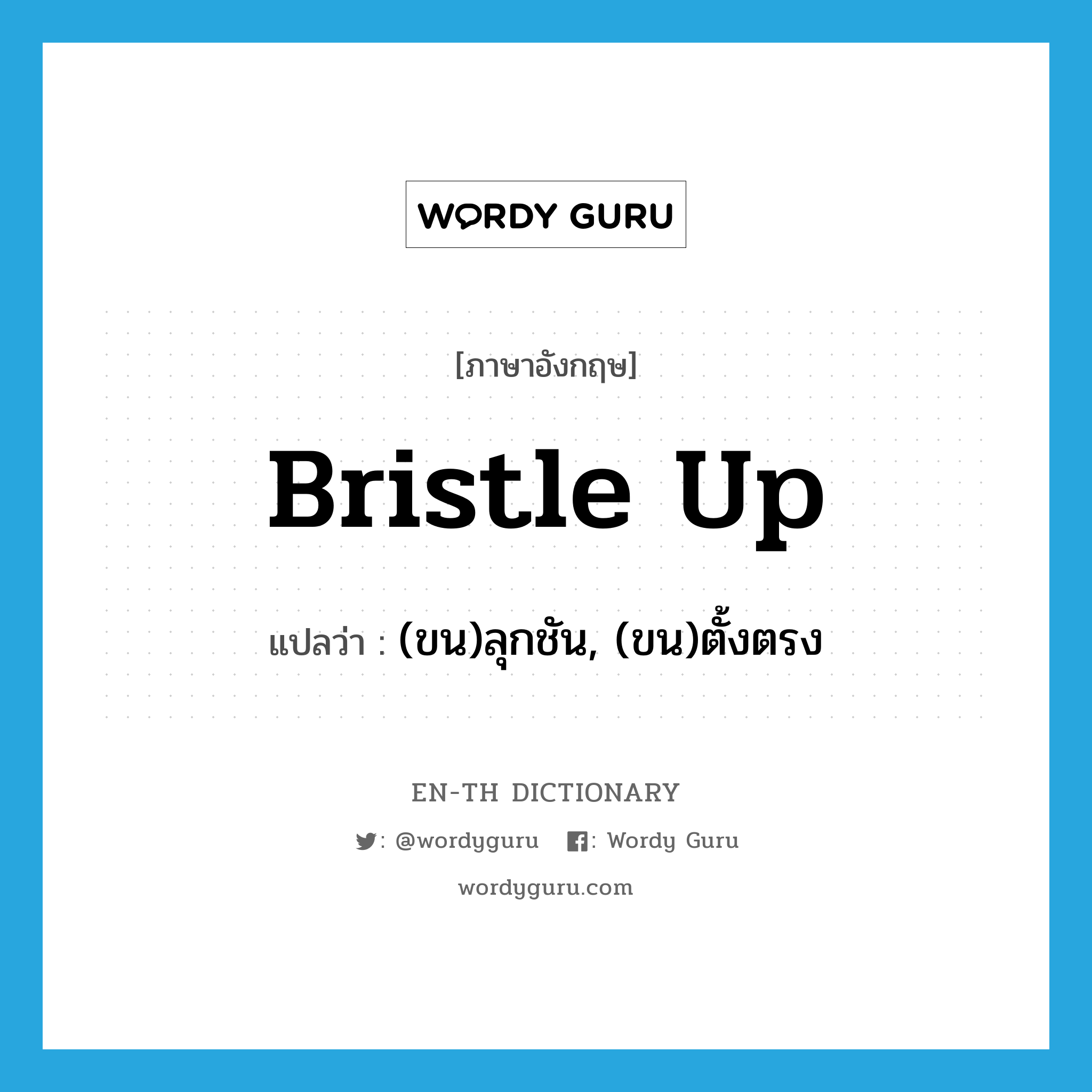 bristle up