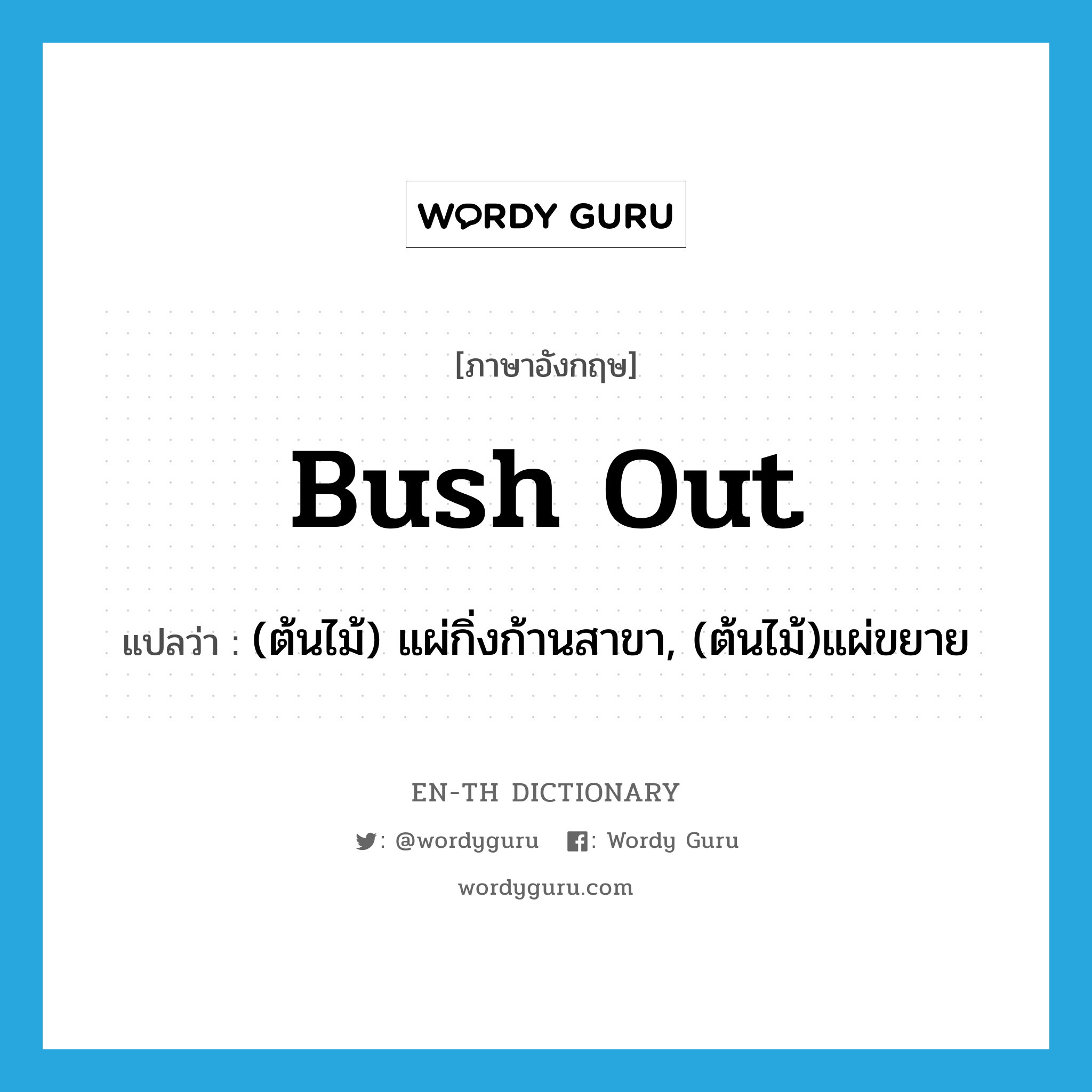 bush out