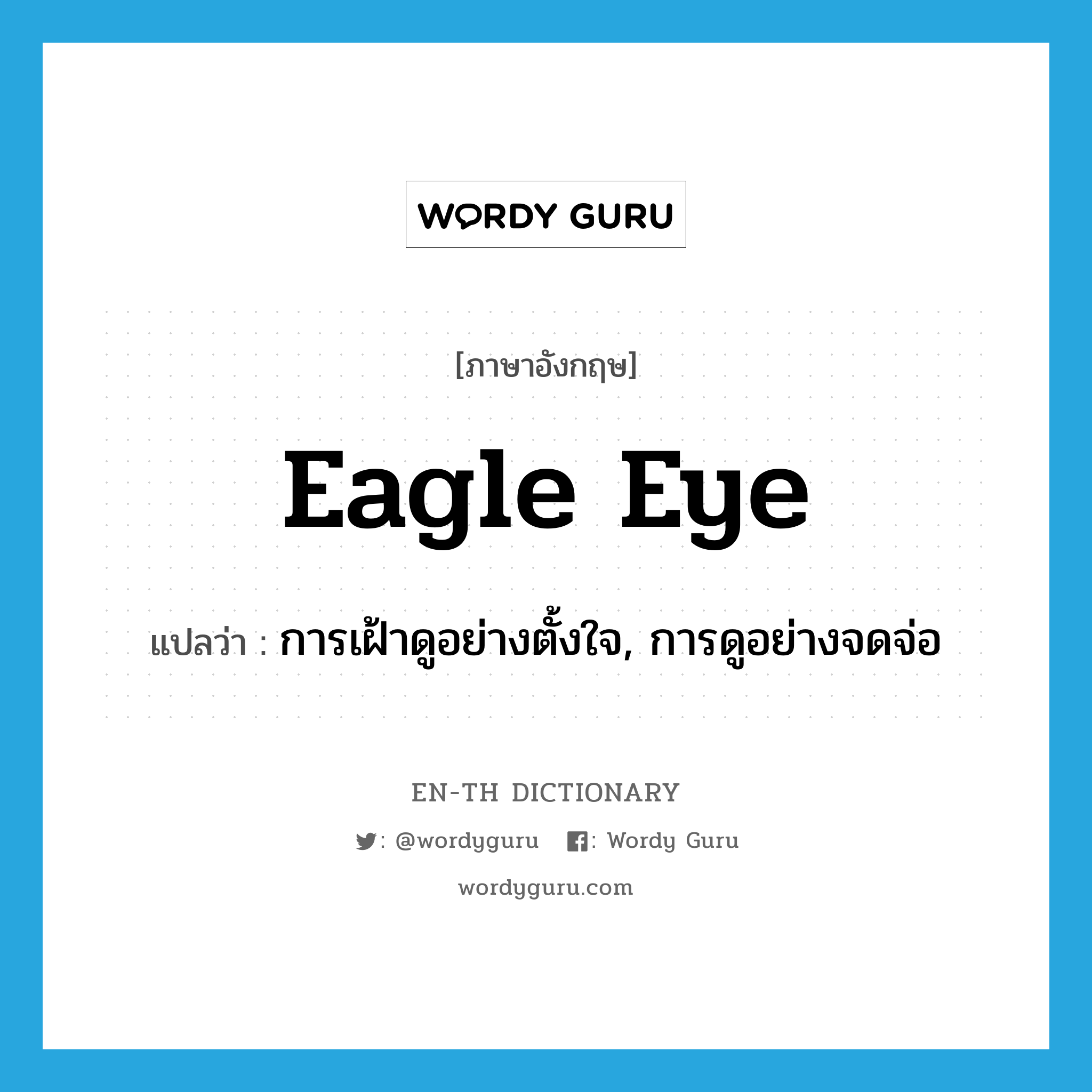 eagle eye แปลว่า?, คำศัพท์ภาษาอังกฤษ eagle eye แปลว่า การเฝ้าดูอย่างตั้งใจ, การดูอย่างจดจ่อ ประเภท IDM หมวด IDM