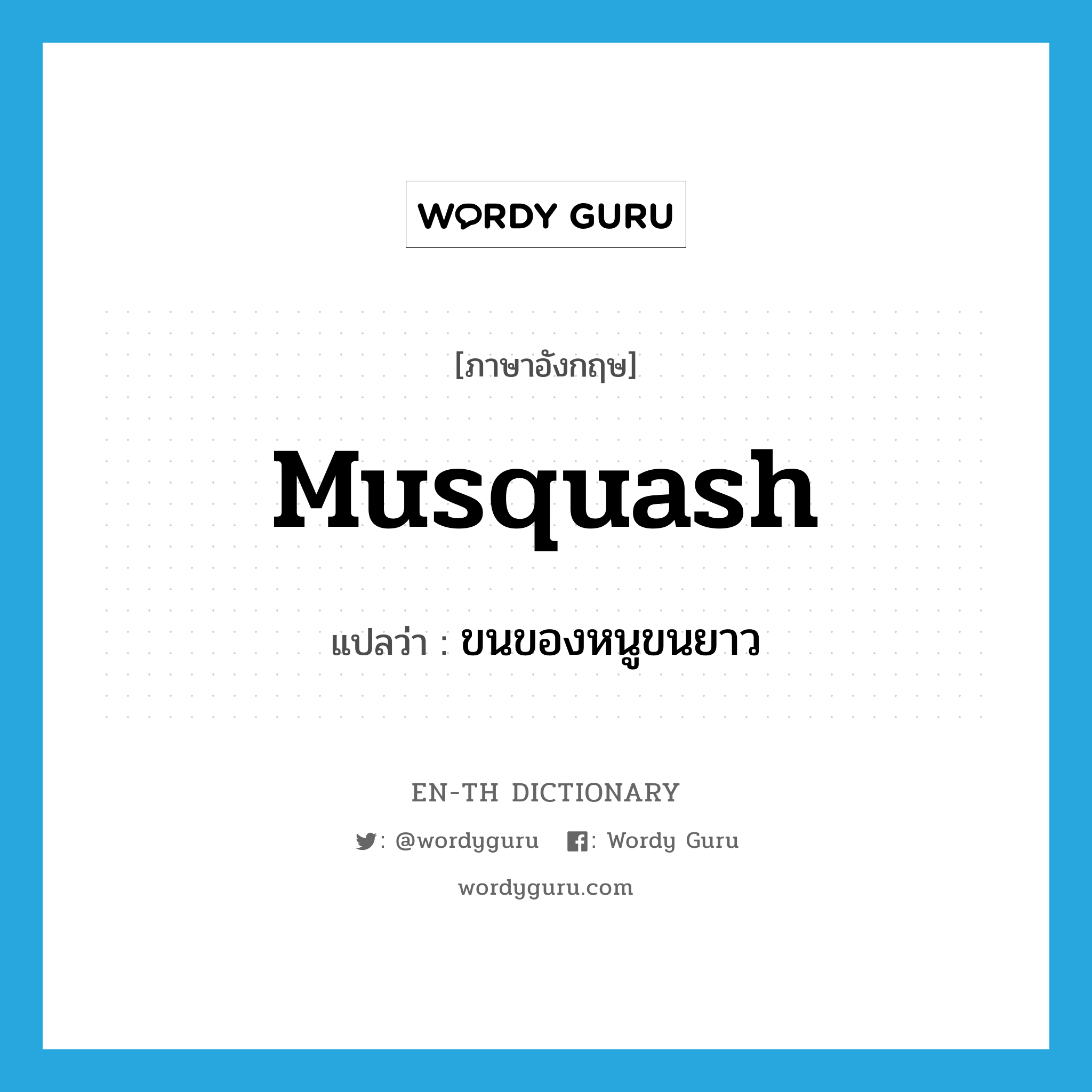 musquash แปลว่า?, คำศัพท์ภาษาอังกฤษ musquash แปลว่า ขนของหนูขนยาว ประเภท N หมวด N