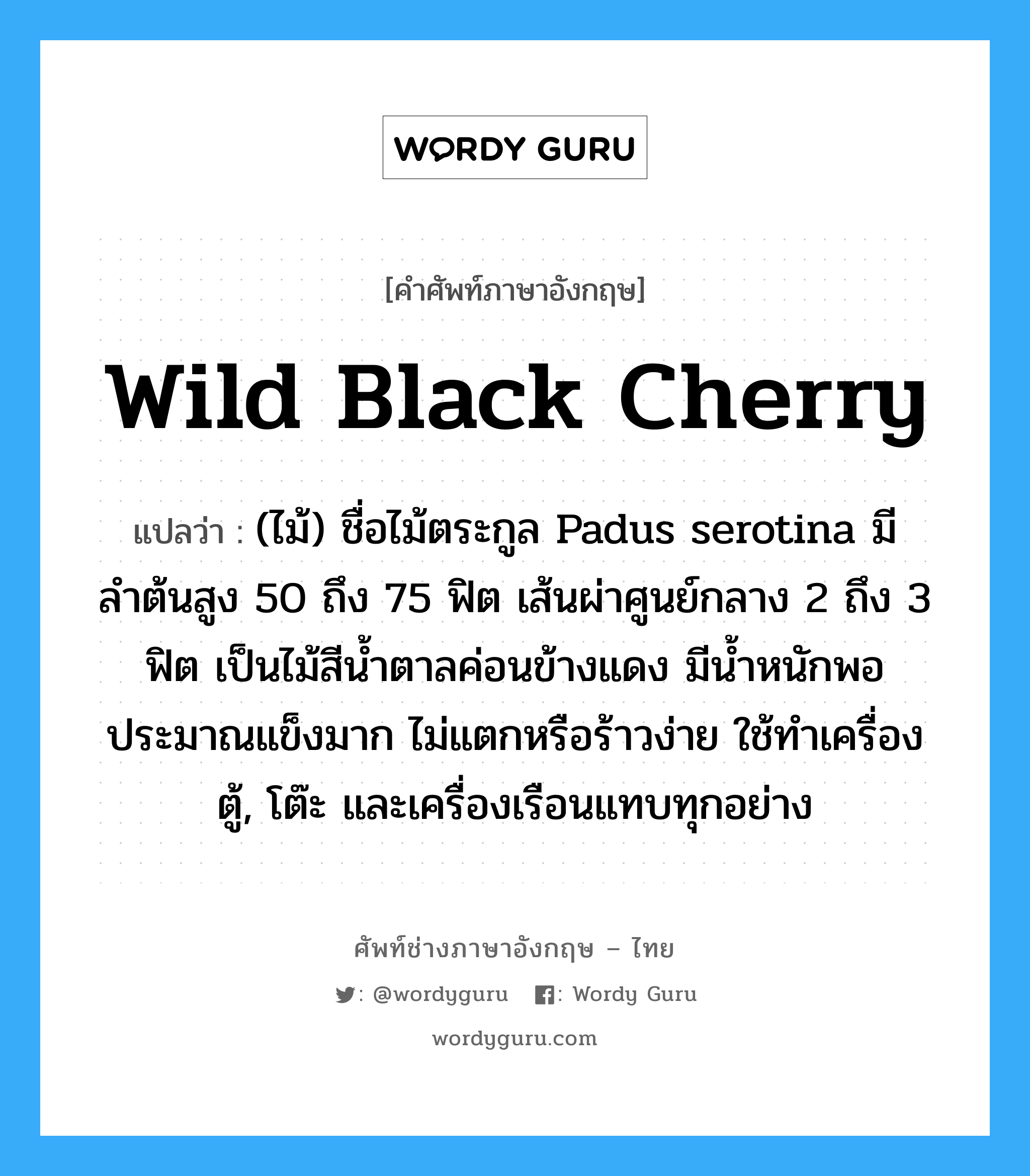 wild black cherry แปลว่า?, คำศัพท์ช่างภาษาอังกฤษ - ไทย wild black cherry คำศัพท์ภาษาอังกฤษ wild black cherry แปลว่า (ไม้) ชื่อไม้ตระกูล Padus serotina มีลำต้นสูง 50 ถึง 75 ฟิต เส้นผ่าศูนย์กลาง 2 ถึง 3 ฟิต เป็นไม้สีน้ำตาลค่อนข้างแดง มีน้ำหนักพอประมาณแข็งมาก ไม่แตกหรือร้าวง่าย ใช้ทำเครื่องตู้, โต๊ะ และเครื่องเรือนแทบทุกอย่าง