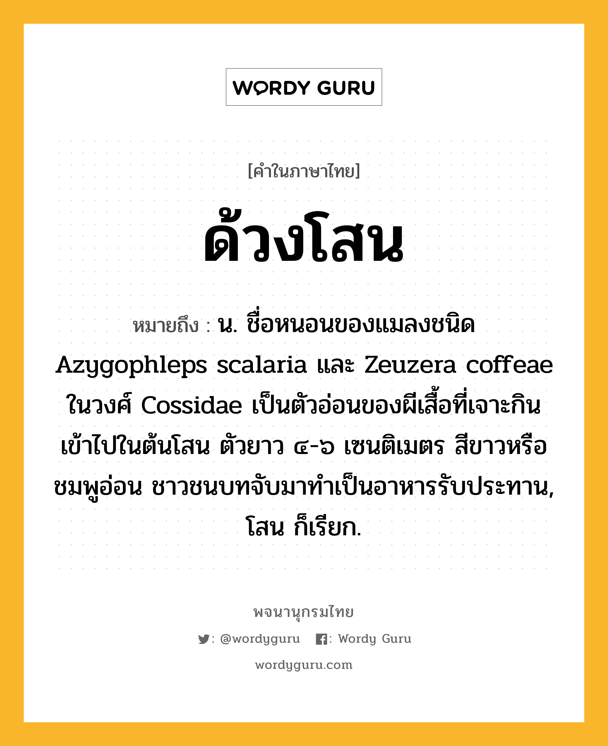 ด้วงโสน หมายถึงอะไร?, คำในภาษาไทย ด้วงโสน หมายถึง น. ชื่อหนอนของแมลงชนิด Azygophleps scalaria และ Zeuzera coffeae ในวงศ์ Cossidae เป็นตัวอ่อนของผีเสื้อที่เจาะกินเข้าไปในต้นโสน ตัวยาว ๔-๖ เซนติเมตร สีขาวหรือชมพูอ่อน ชาวชนบทจับมาทําเป็นอาหารรับประทาน, โสน ก็เรียก.