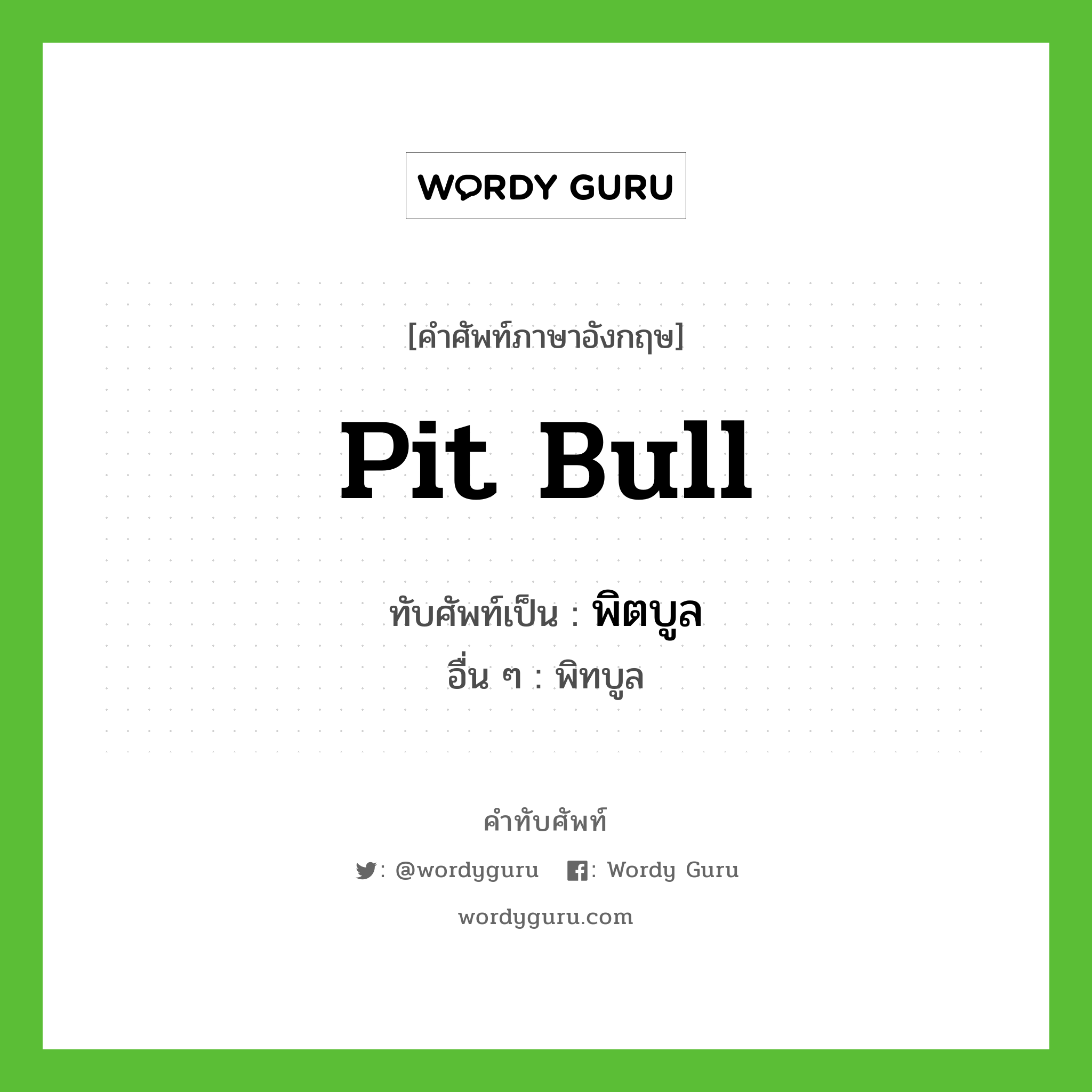 Pit bull เขียนเป็นคำไทยว่าอะไร?, คำศัพท์ภาษาอังกฤษ Pit bull ทับศัพท์เป็น พิตบูล อื่น ๆ พิทบูล